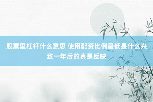股票里杠杆什么意思 使用配资比例最低是什么兴致一年后的真是反映