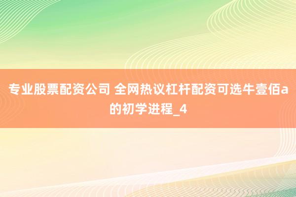 专业股票配资公司 全网热议杠杆配资可选牛壹佰a的初学进程_4