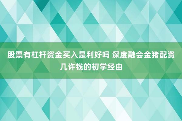 股票有杠杆资金买入是利好吗 深度融会金猪配资几许钱的初学经由