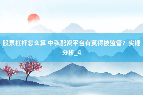 股票杠杆怎么算 中弘配资平台有莫得被监管？实锤分析_4