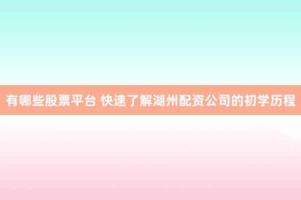 有哪些股票平台 快速了解湖州配资公司的初学历程
