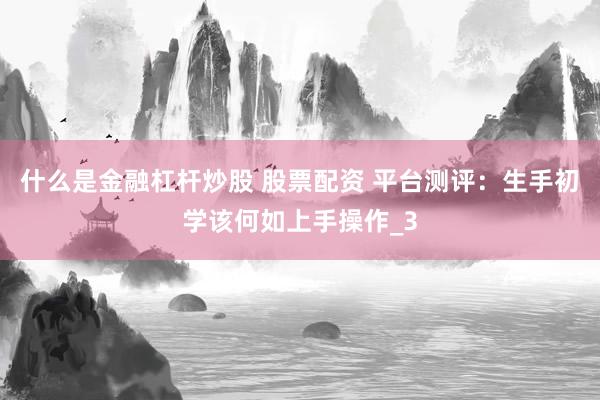什么是金融杠杆炒股 股票配资 平台测评：生手初学该何如上手操作_3