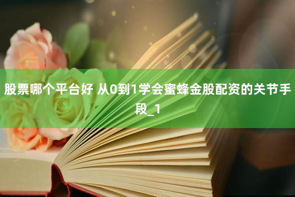 股票哪个平台好 从0到1学会蜜蜂金股配资的关节手段_1