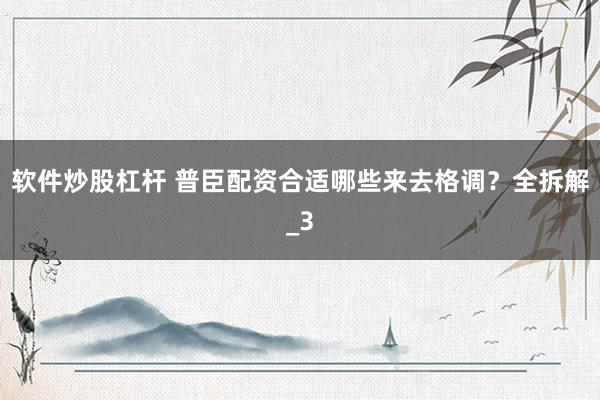 软件炒股杠杆 普臣配资合适哪些来去格调？全拆解_3