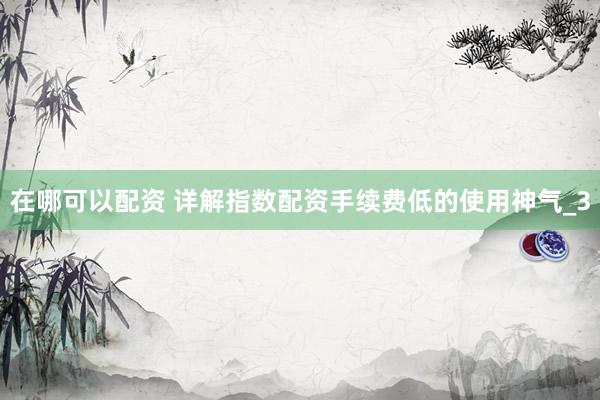 在哪可以配资 详解指数配资手续费低的使用神气_3
