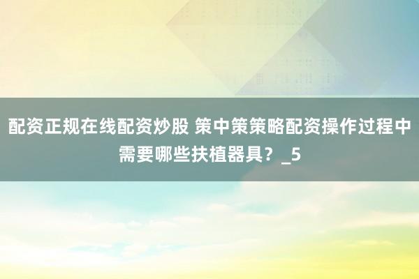 配资正规在线配资炒股 策中策策略配资操作过程中需要哪些扶植器具？_5