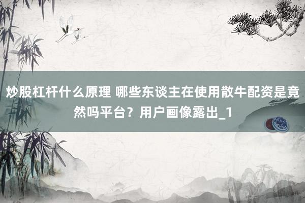 炒股杠杆什么原理 哪些东谈主在使用散牛配资是竟然吗平台？用户画像露出_1