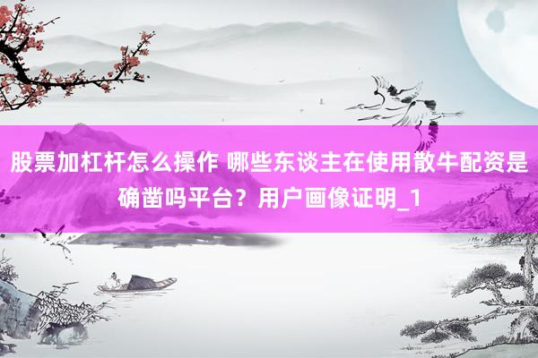 股票加杠杆怎么操作 哪些东谈主在使用散牛配资是确凿吗平台？用户画像证明_1