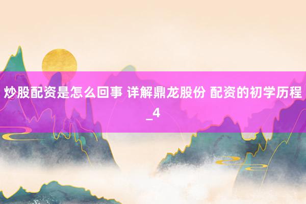 炒股配资是怎么回事 详解鼎龙股份 配资的初学历程_4