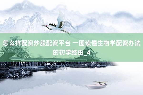 怎么样配资炒股配资平台 一图读懂生物学配资办法的初学经由_4