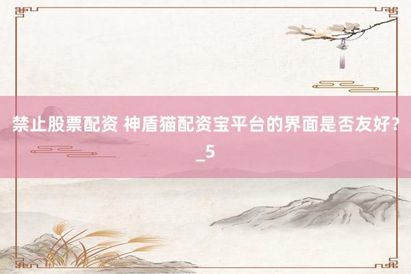 禁止股票配资 神盾猫配资宝平台的界面是否友好？_5