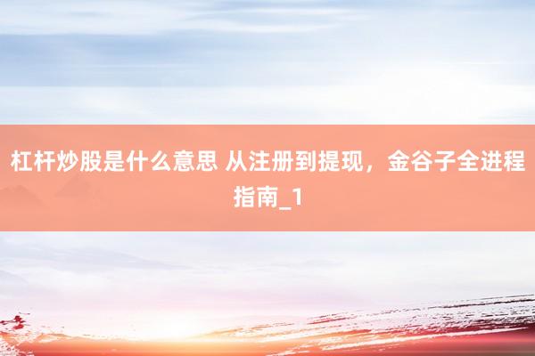 杠杆炒股是什么意思 从注册到提现，金谷子全进程指南_1