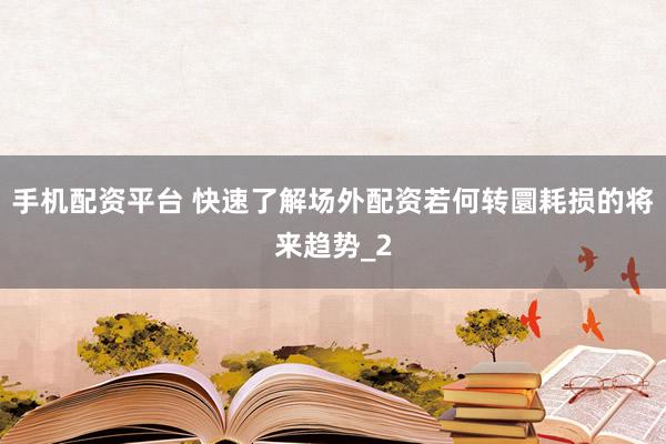 手机配资平台 快速了解场外配资若何转圜耗损的将来趋势_2