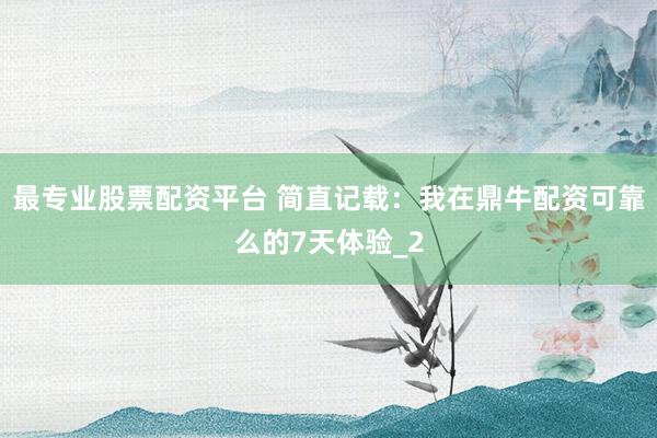 最专业股票配资平台 简直记载：我在鼎牛配资可靠么的7天体验_2