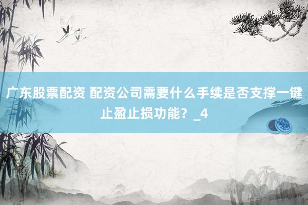 广东股票配资 配资公司需要什么手续是否支撑一键止盈止损功能？_4