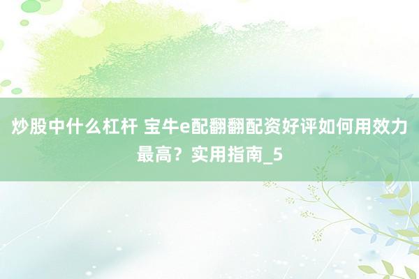 炒股中什么杠杆 宝牛e配翻翻配资好评如何用效力最高？实用指南_5