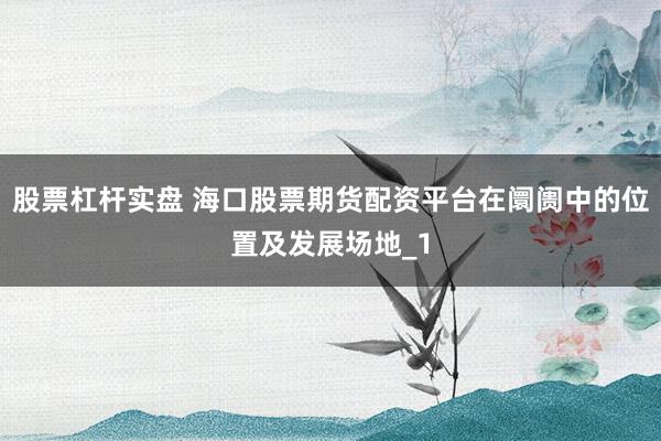 股票杠杆实盘 海口股票期货配资平台在阛阓中的位置及发展场地_1