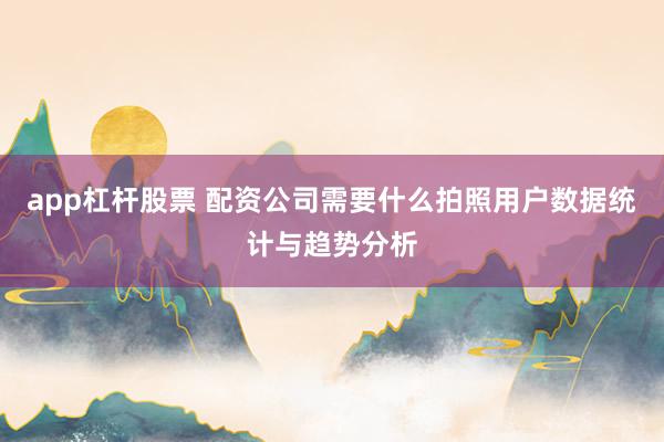 app杠杆股票 配资公司需要什么拍照用户数据统计与趋势分析