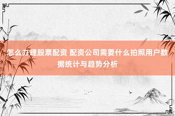 怎么办理股票配资 配资公司需要什么拍照用户数据统计与趋势分析