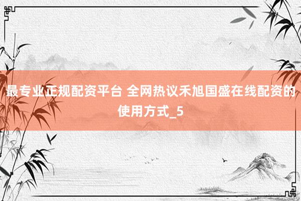 最专业正规配资平台 全网热议禾旭国盛在线配资的使用方式_5